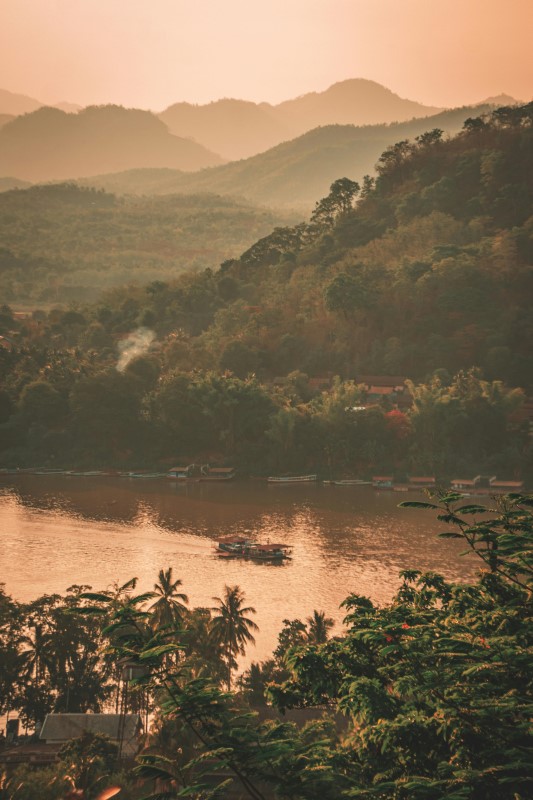 Forest around river at dusk, Luang Prabang, Laos