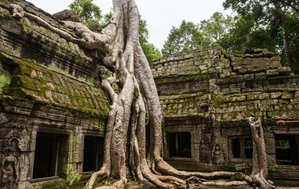 Ta Promh, Angkor Temple, Siem Reap, Cambodia