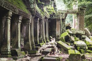 Ta Promh Temple, Siem Reap, Cambodia, Culture